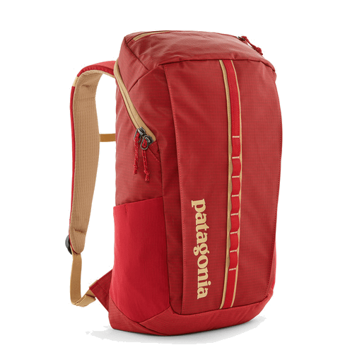 Patagonia Black Hole Pack 25L