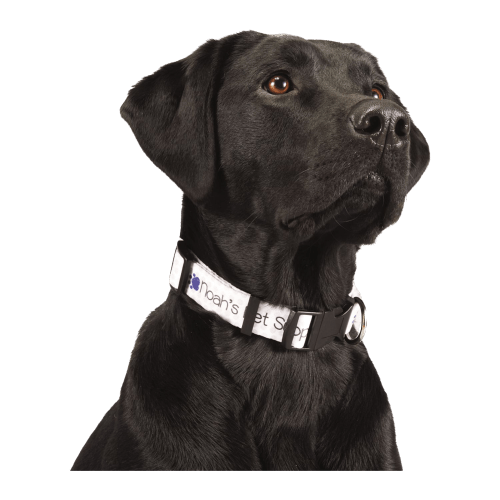 Threadfellows Accessories 1" Wide / Full Color Sublimation Adjustable Pet Collar