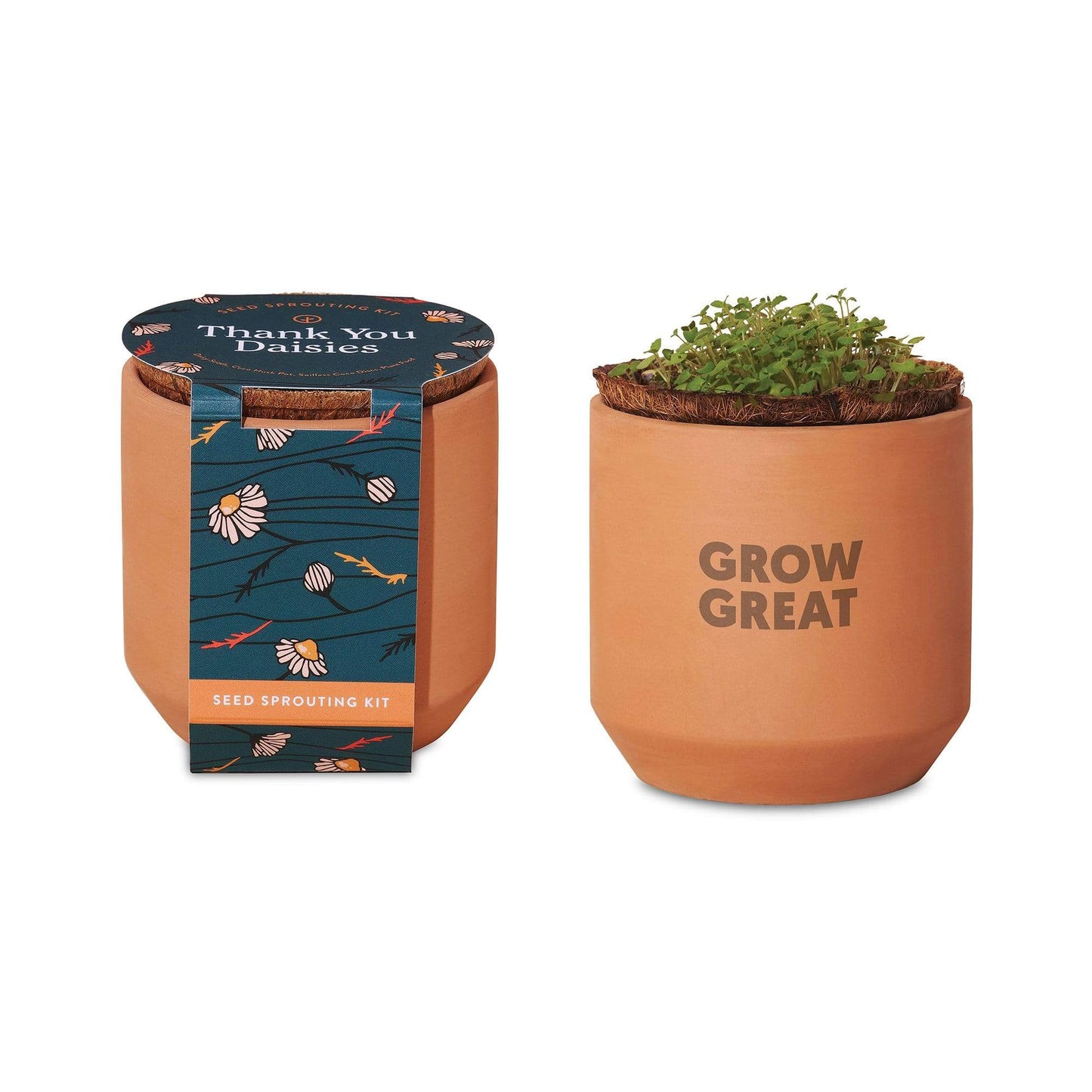 Threadfellows Accessories Terracotta / Thank You Daisies Modern Sprout® Tiny Terracotta Grow Kit