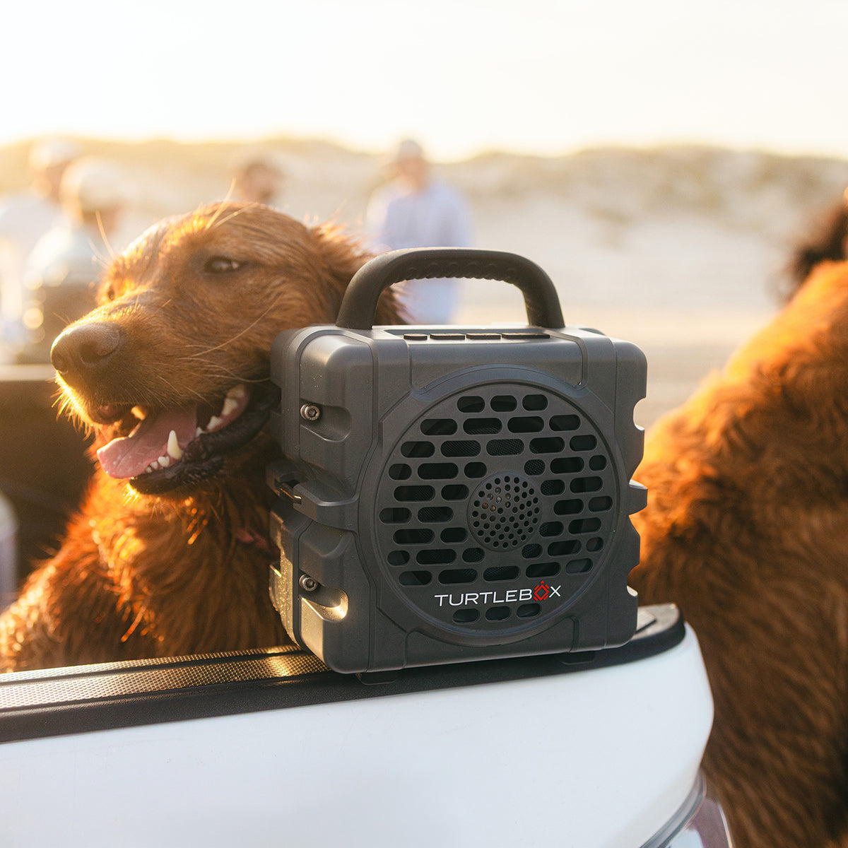 TURTLEBOX - Cub Speaker