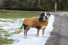 Carhartt Accessories Carhartt - Dog Chore Coat
