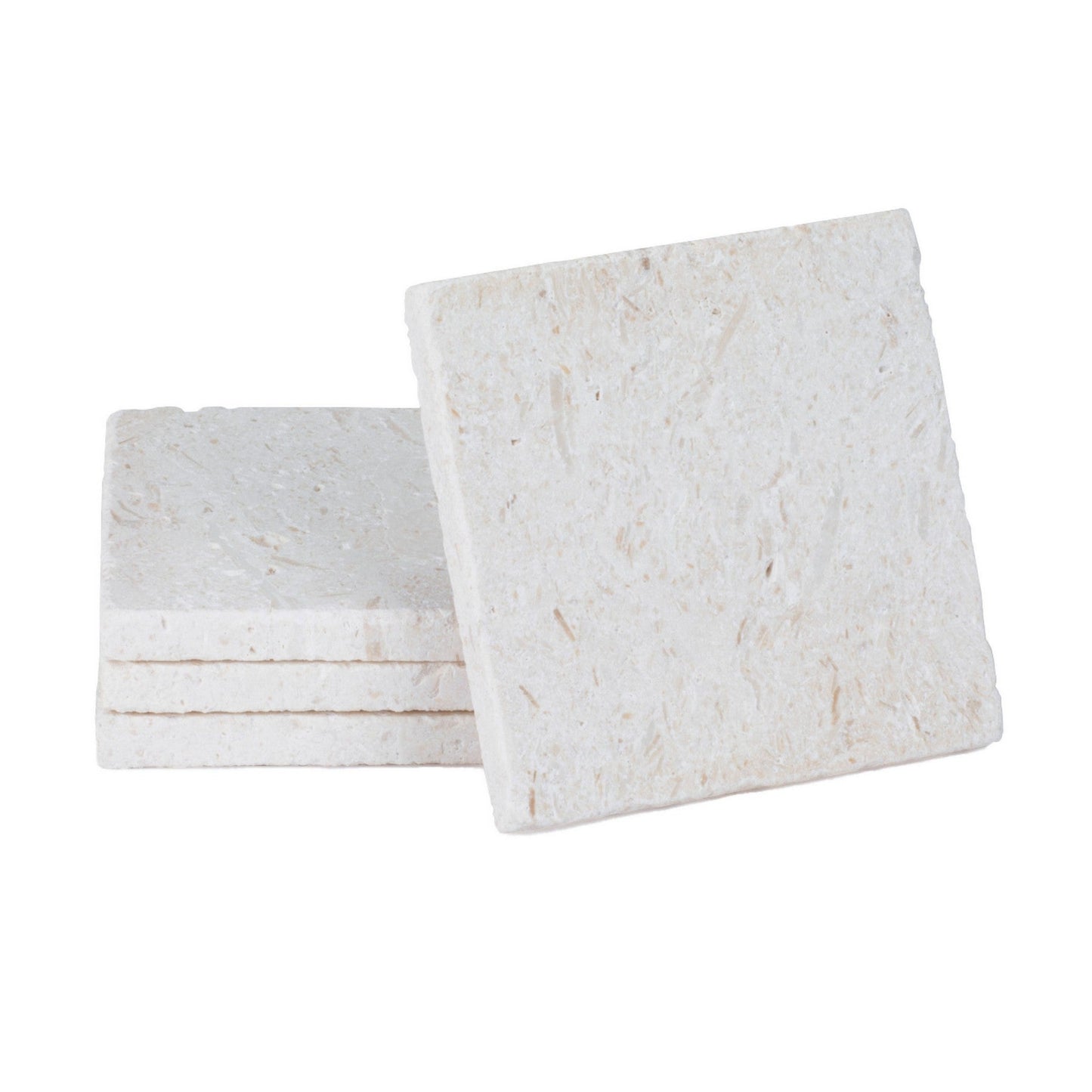 CoasterStone Accessories One Size / White CoasterStone - Natural Stone Shell Coaster