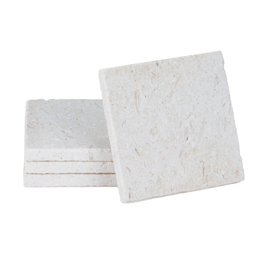 CoasterStone Accessories One Size / White CoasterStone - Natural Stone Shell Coaster