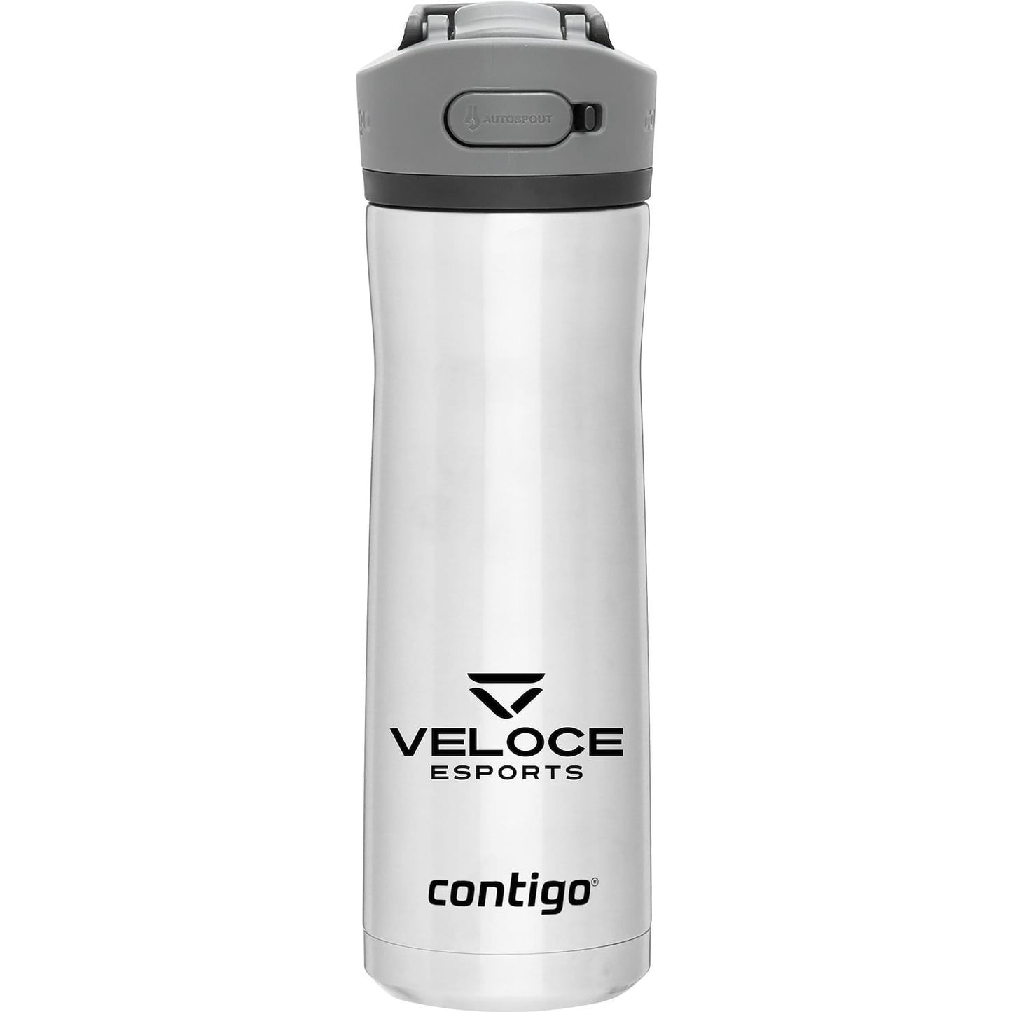 Contigo Drinkware 20oz / Stainless Contigo - 20oz Ashland Chill 2.0