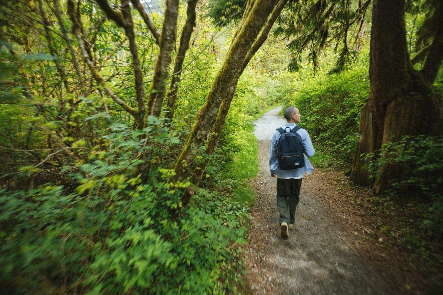Hershel Bags Herschel - Settlement 15" Computer Backpack