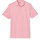 Johnnie-O Polos S / Azalea Johnnie-O - Birdie PREP-FORMANCE Jersey Polo (Lyndon Stripe)