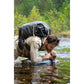 LifeStraw Drinkware LifeStraw - Stainless Single Sip