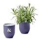 Modern Sprout Accessories Lavender / Violet Hour Modern Sprout - Garden Vibes Candle/Planter