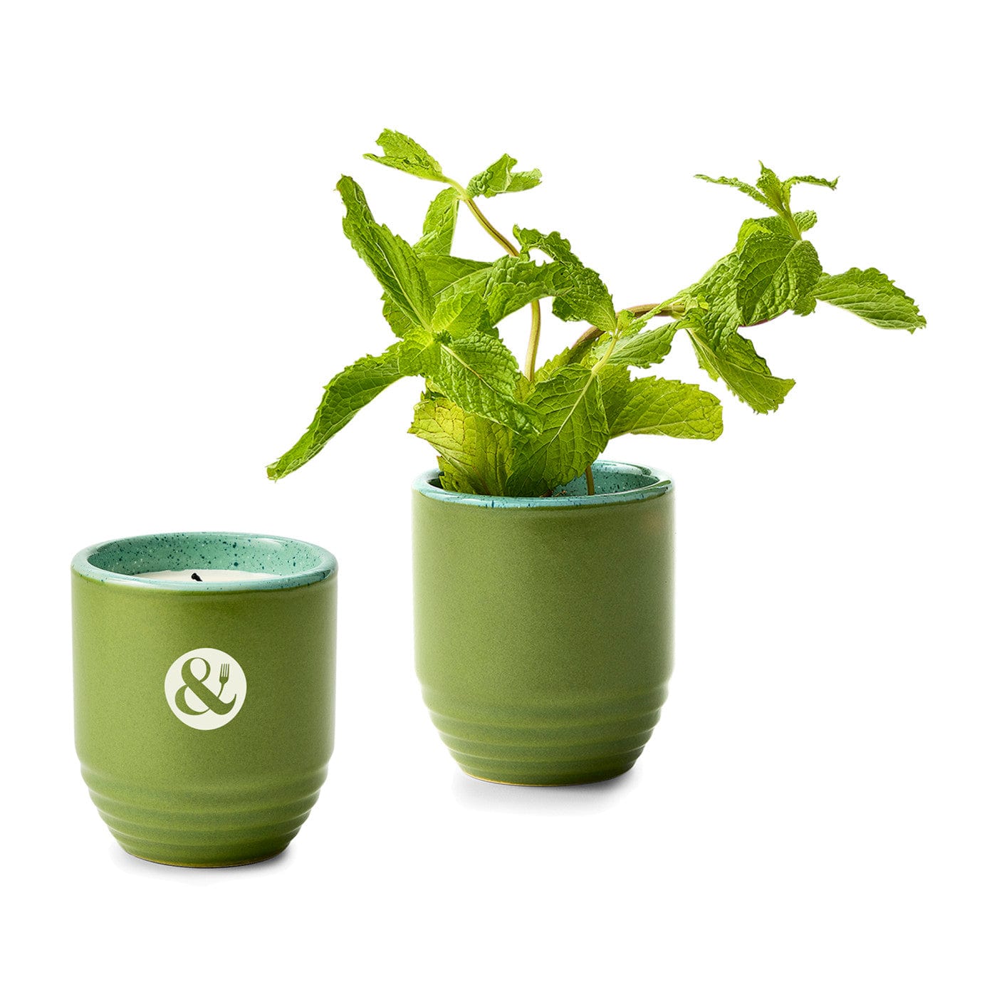Modern Sprout Accessories Mint / In The Weeds Modern Sprout - Garden Vibes Candle/Planter