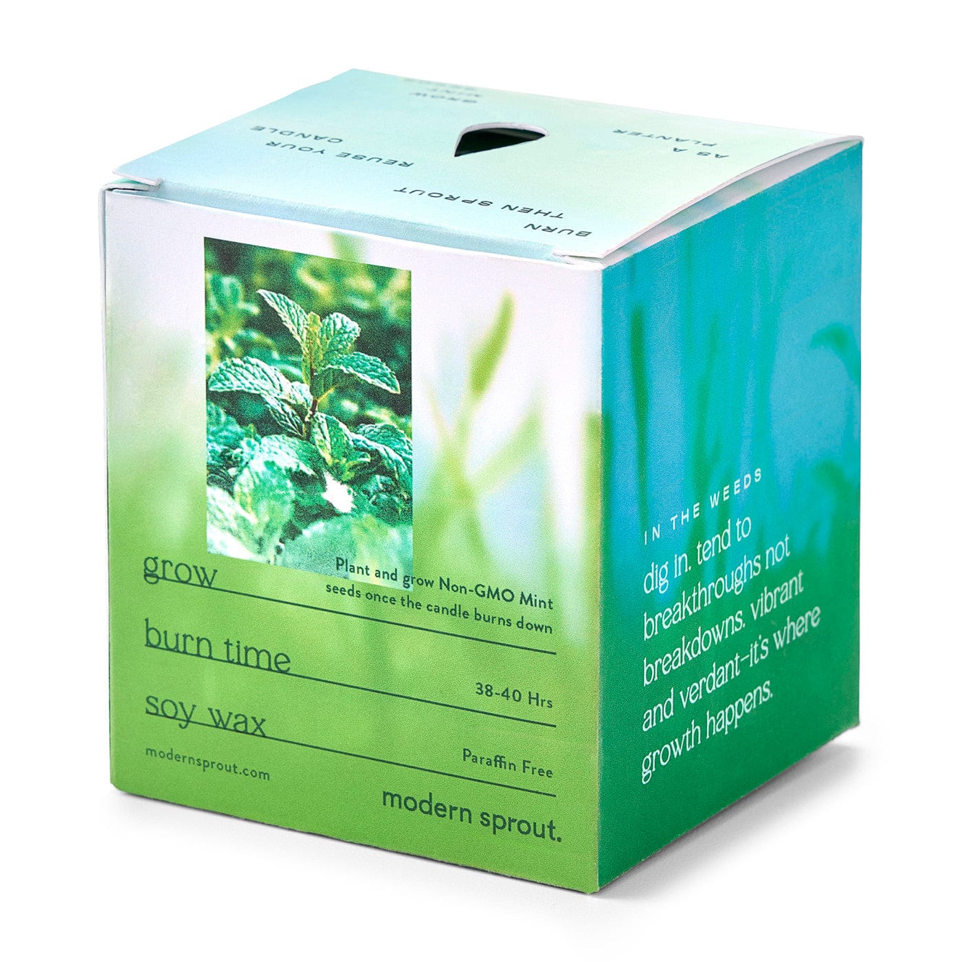 Modern Sprout Accessories Modern Sprout - Garden Vibes Candle/Planter