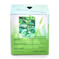 Modern Sprout Accessories Modern Sprout - Garden Vibes Candle/Planter