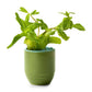 Modern Sprout Accessories Modern Sprout - Garden Vibes Candle/Planter