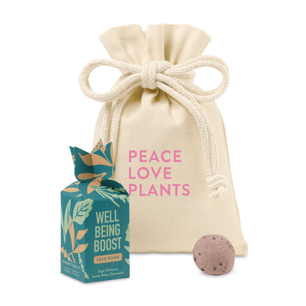 Modern Sprout Accessories One Size / Well Being Boost Modern Sprout - Encouragement Seed Bomb