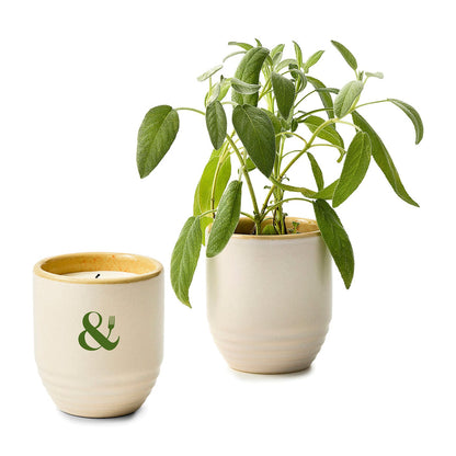 Modern Sprout Accessories Sage / Golden Moments Modern Sprout - Garden Vibes Candle/Planter