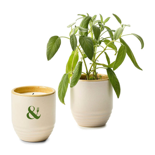 Modern Sprout Accessories Sage / Golden Moments Modern Sprout - Garden Vibes Candle/Planter