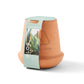 Modern Sprout Outdoor & Leisure Modern Sprout - Modern Terracotta Grow Kit