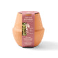 Modern Sprout Outdoor & Leisure Modern Sprout - Modern Terracotta Grow Kit