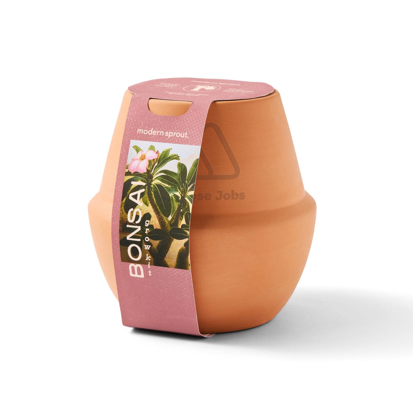 Modern Sprout Outdoor & Leisure Modern Sprout - Modern Terracotta Grow Kit