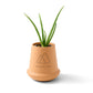 Modern Sprout Outdoor & Leisure One Size / Aloe Modern Sprout - Modern Terracotta Grow Kit