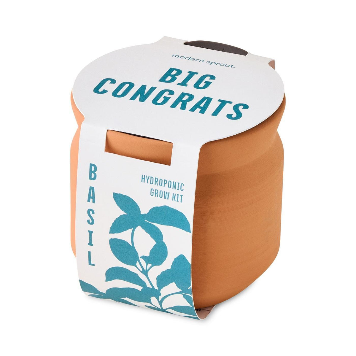 Modern Sprout Outdoor & Leisure One Size / Terracotta Modern Sprout - Tiny Terracotta Big Congrats
