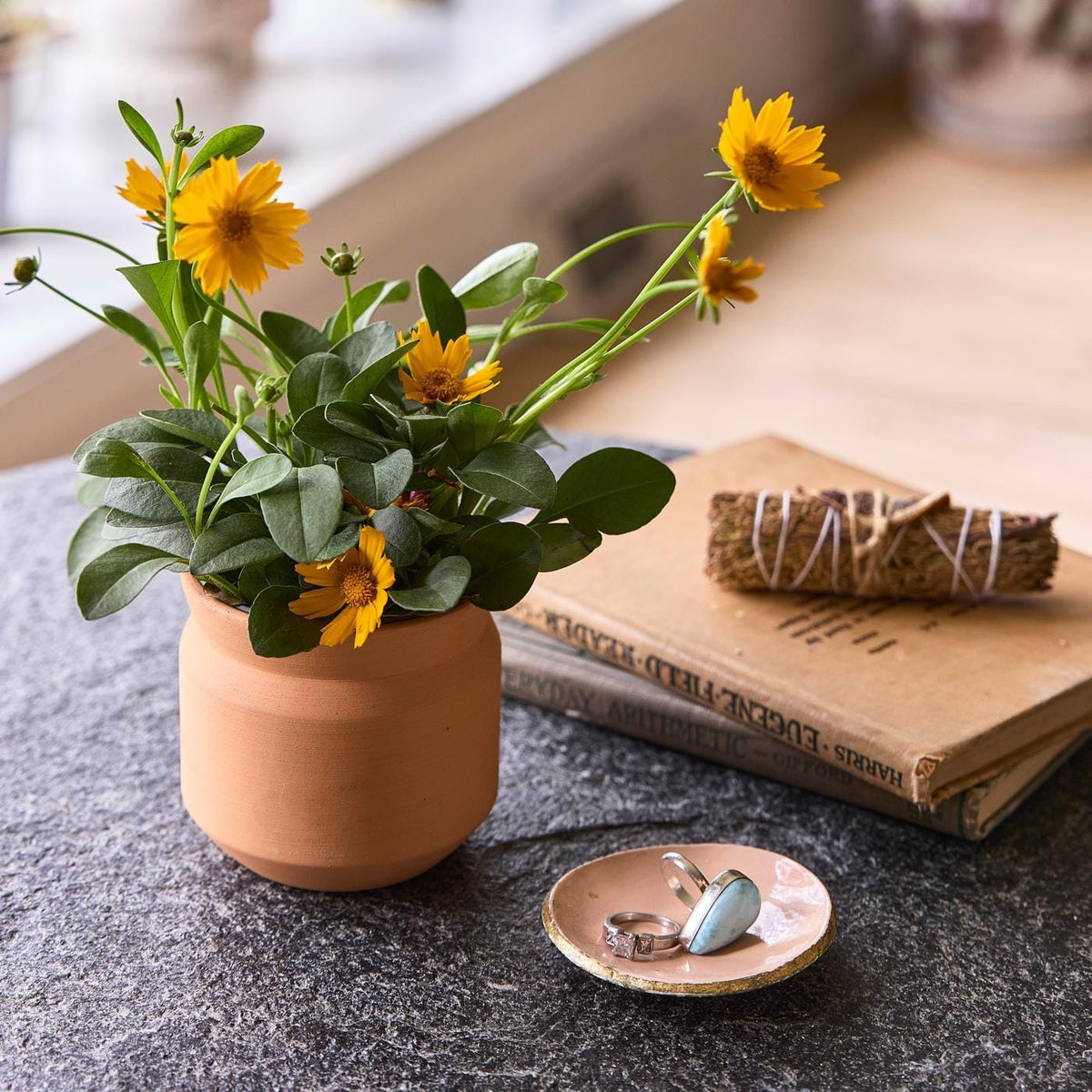 Modern Sprout Outdoor & Leisure One Size / Terracotta Modern Sprout - Tiny Terracotta Thank You