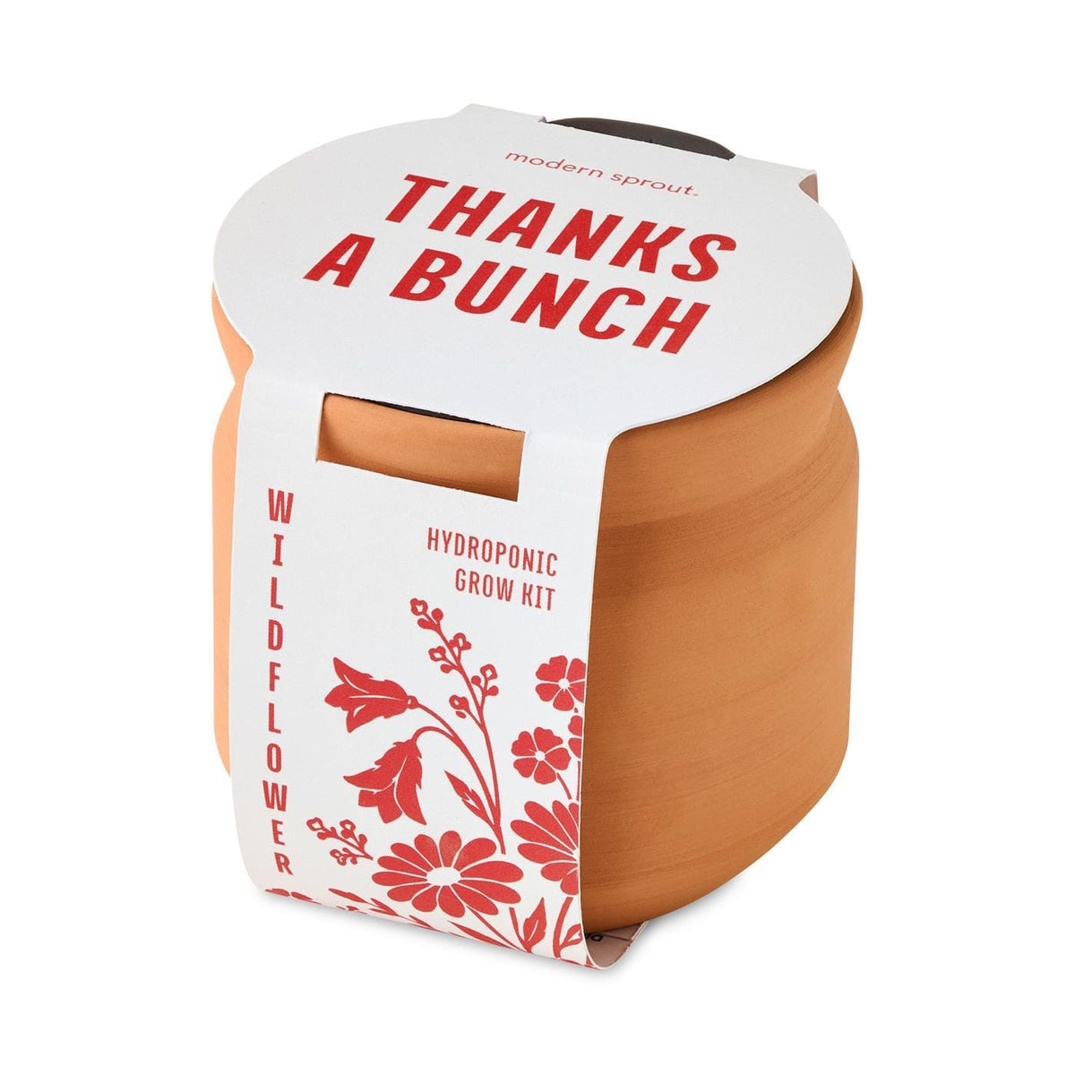 Modern Sprout Outdoor & Leisure One Size / Terracotta Modern Sprout - Tiny Terracotta Thank You
