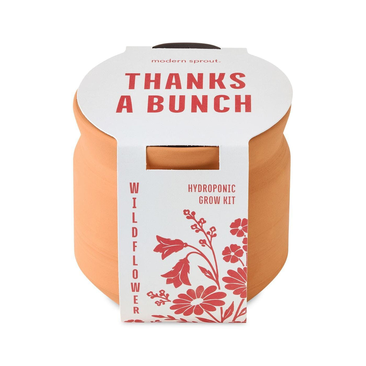 Modern Sprout Outdoor & Leisure One Size / Terracotta Modern Sprout - Tiny Terracotta Thank You