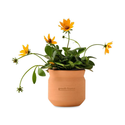 Modern Sprout Outdoor & Leisure One Size / Terracotta Modern Sprout - Tiny Terracotta Thank You