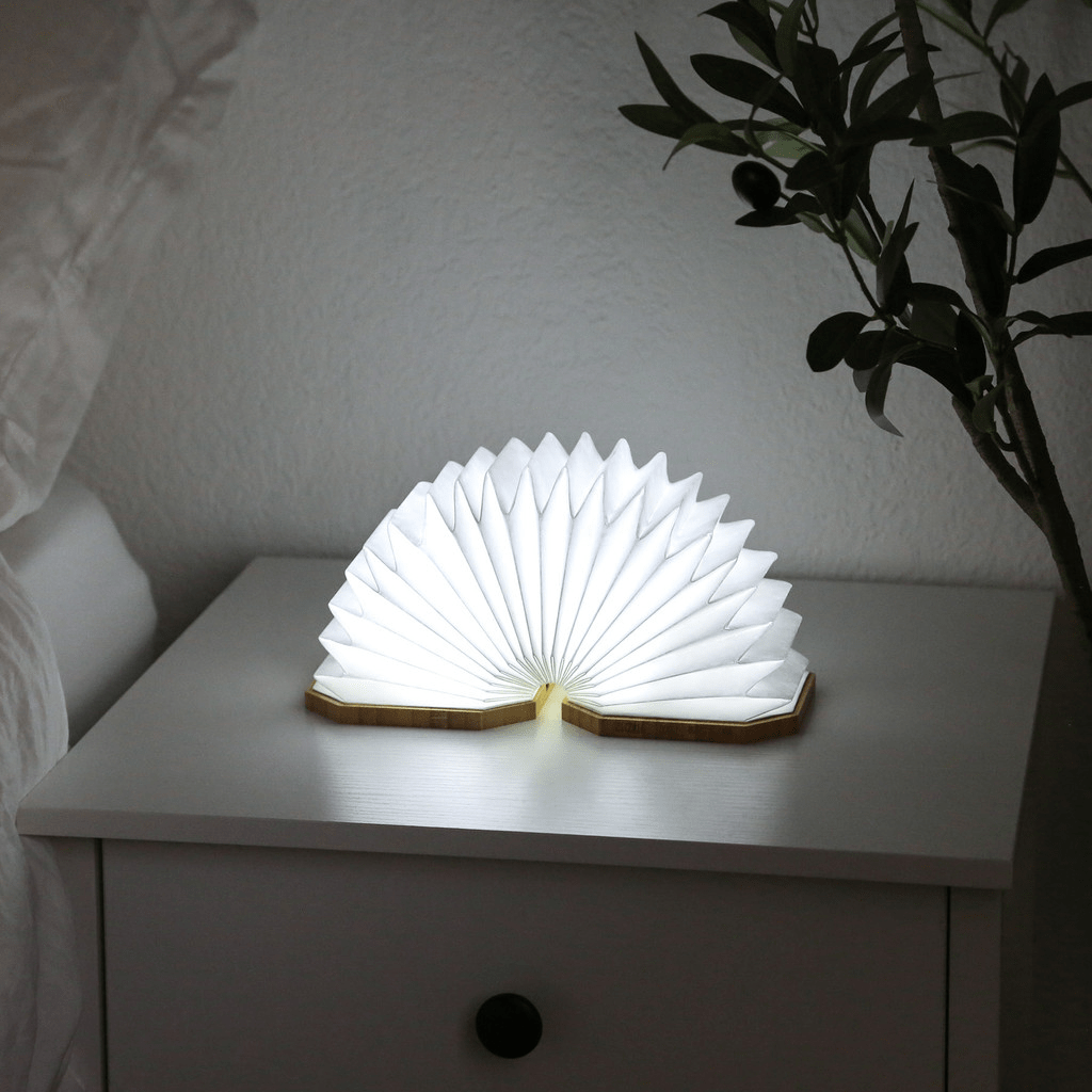 Origaudio Accessories One Size / Bamboo Origaudio - Accordio Light