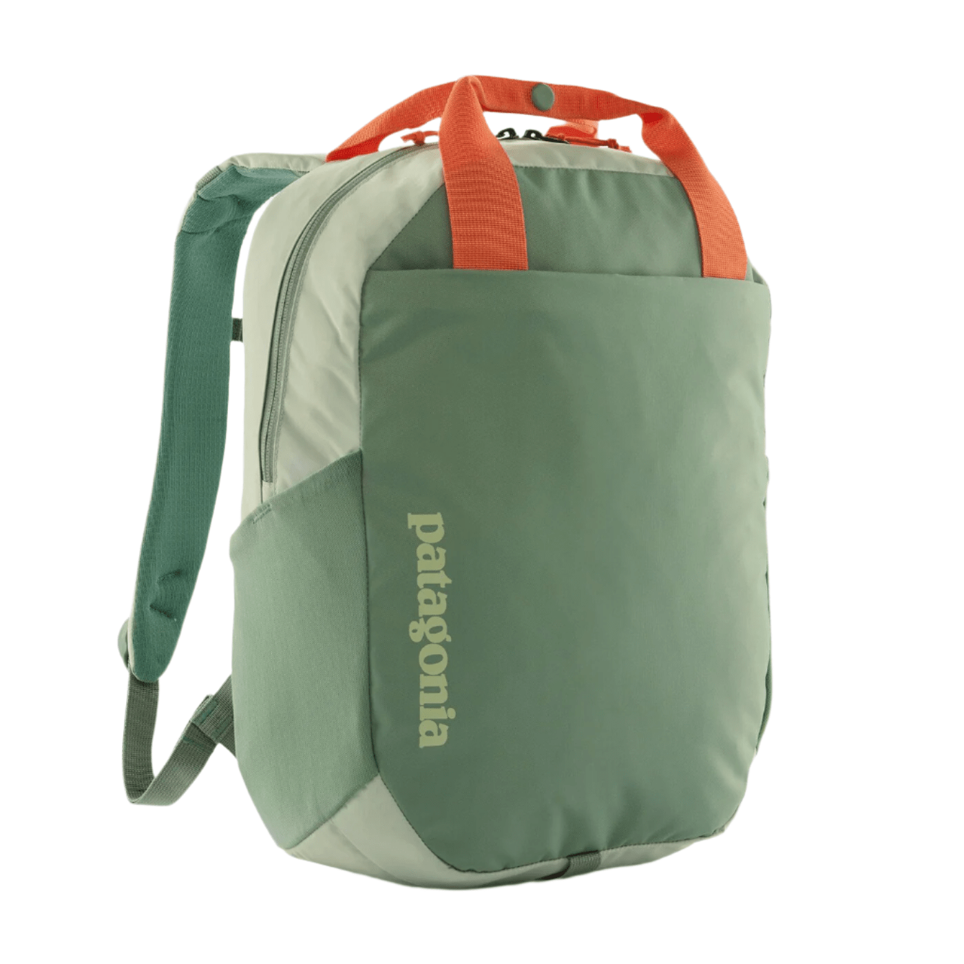 Patagonia Bags 20L / Lichen Green Patagonia - Atom Tote Pack 20L