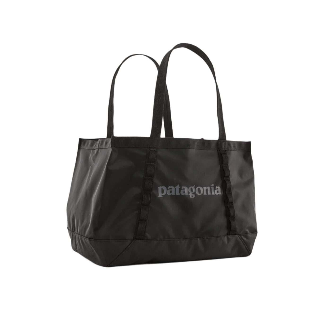 Patagonia Bags 25L / Black Patagonia - Black Hole® Tote 25L