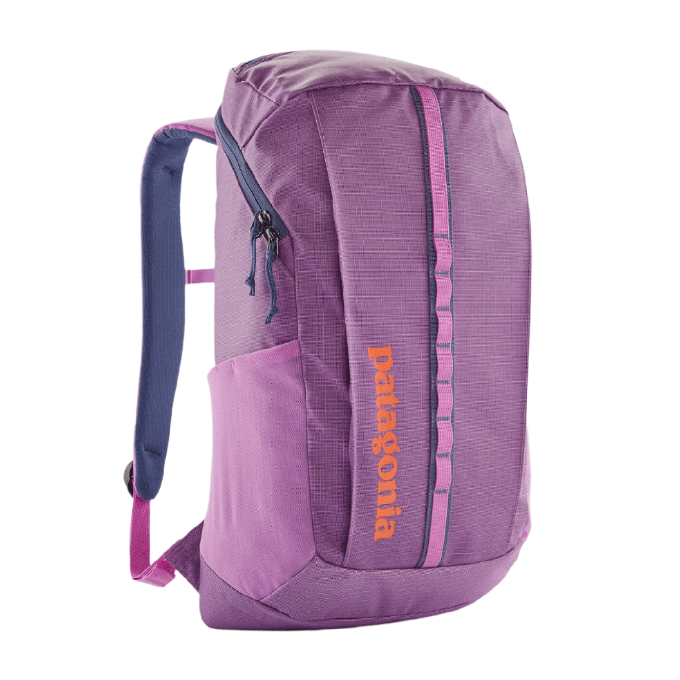 Patagonia Bags 25L / Brisk Purple Patagonia - Black Hole® Pack 25L