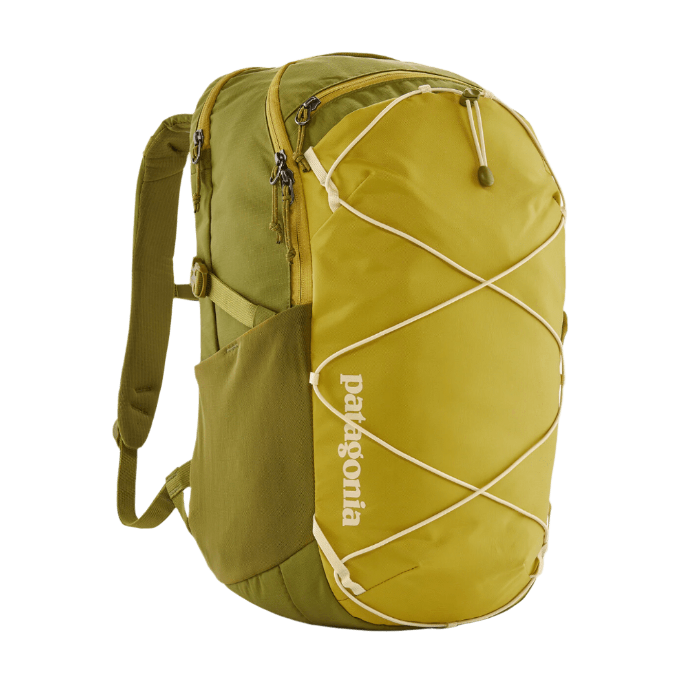 Patagonia Bags 30L / Graze Green Patagonia - Refugio Daypack 30L