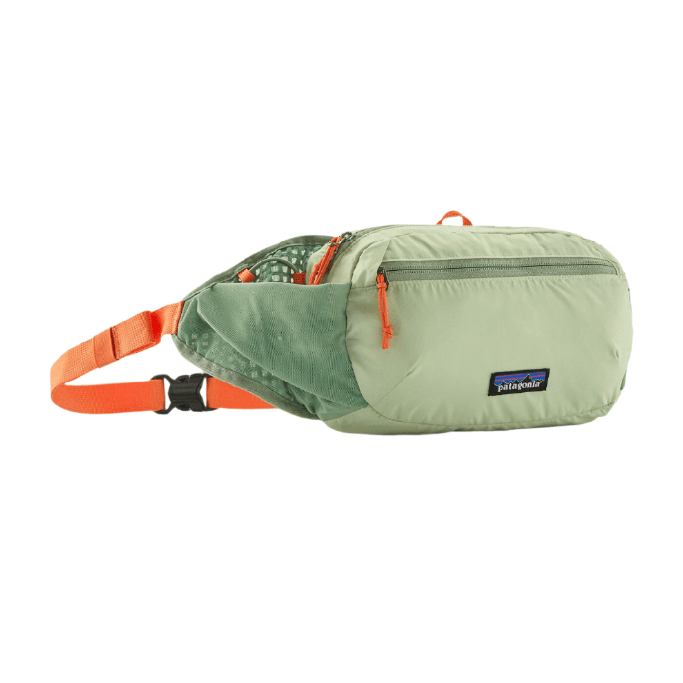 Patagonia Bags 5L / Lichen Green Patagonia - Terravia Hip Pack 5L