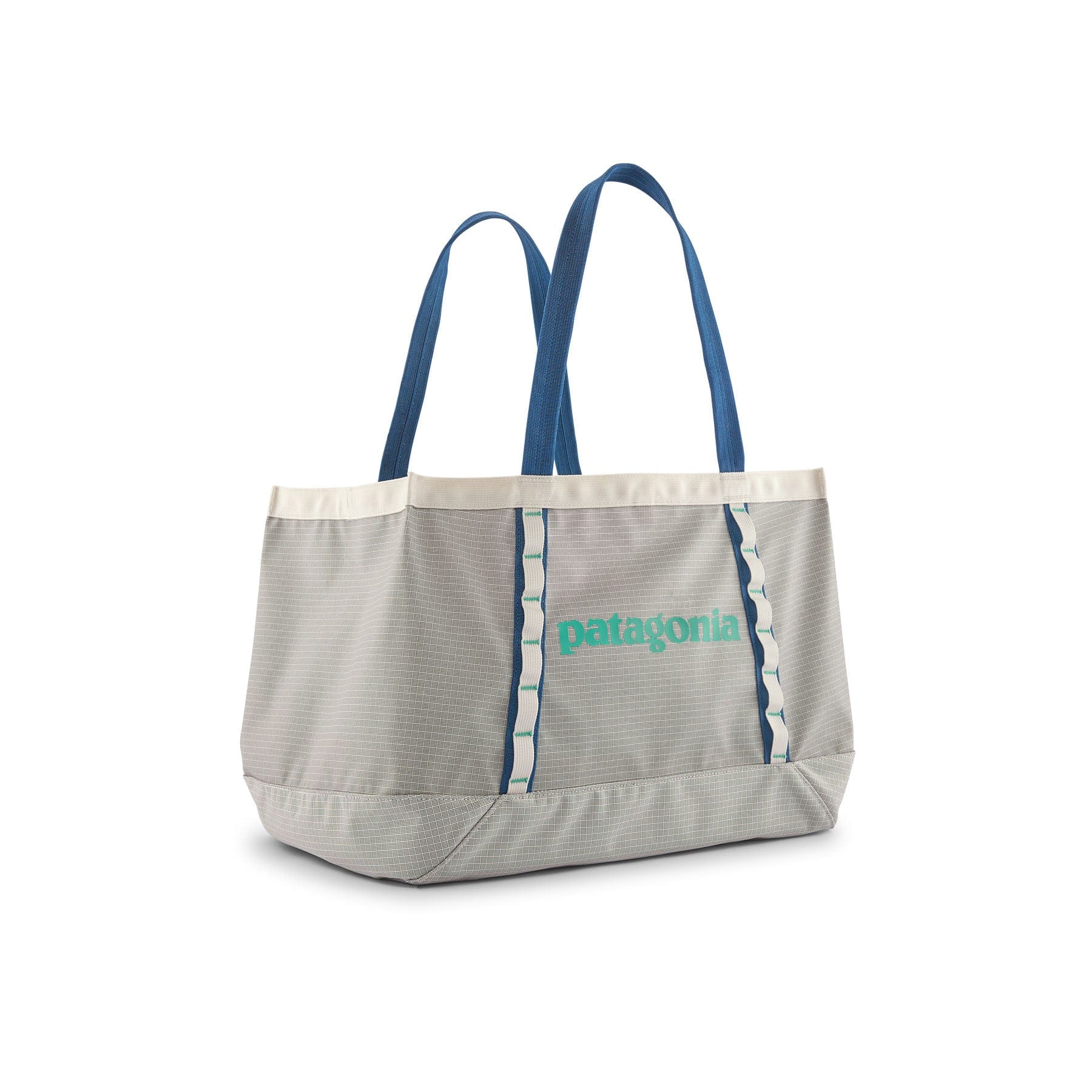 Patagonia Black Hole 25L Tote