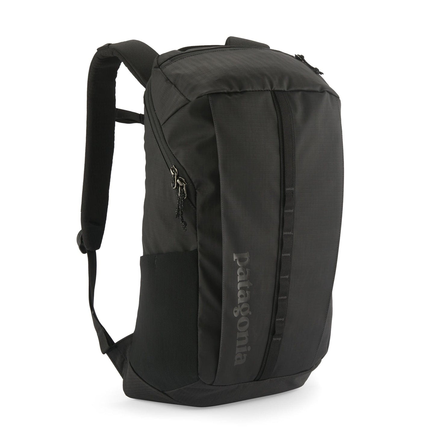 Patagonia Bags One Size / Black Patagonia - Black Hole® Pack 25L
