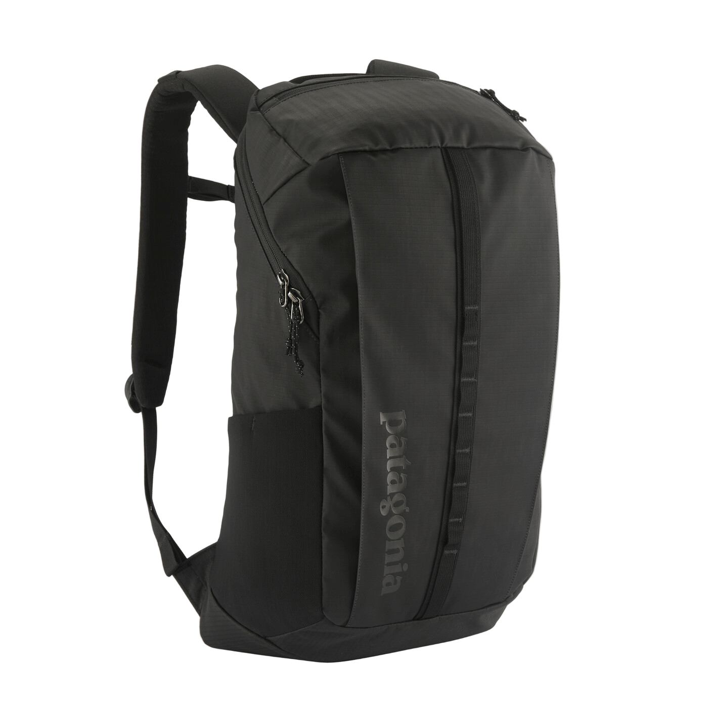 Patagonia Bags Patagonia - Black Hole® Pack 25L