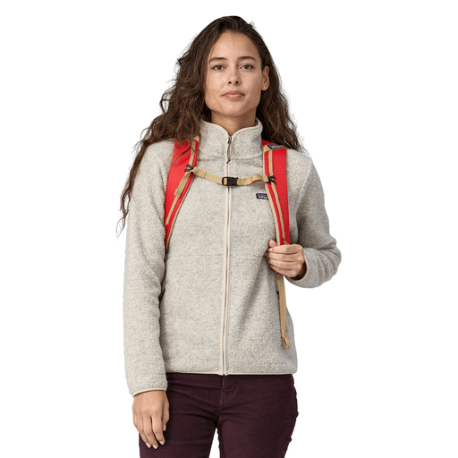 Patagonia Bags Patagonia - Black Hole® Pack 25L