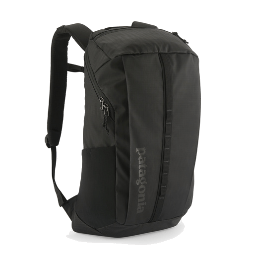 Patagonia Black Hole Pack 25L Threadfellows