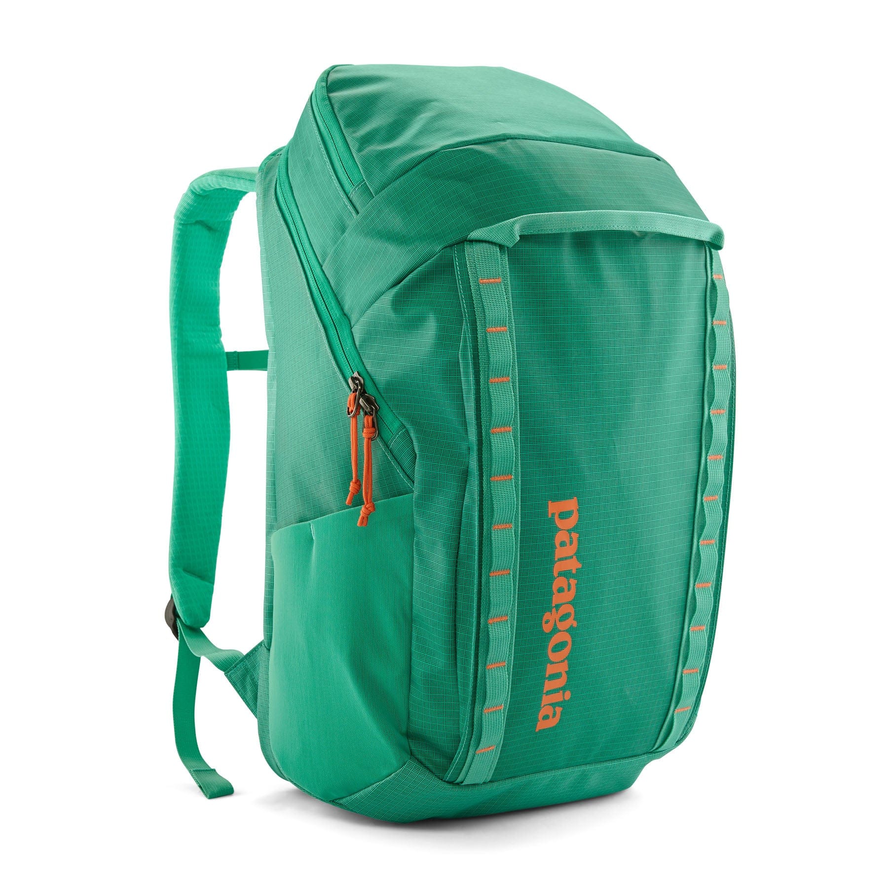 Patagonia 32L Black Hole Pack Berry Fig