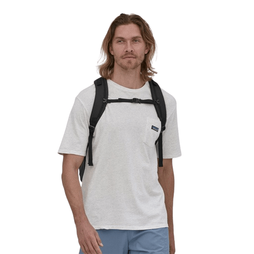 Patagonia Bags Patagonia - Refugio Daypack 30L