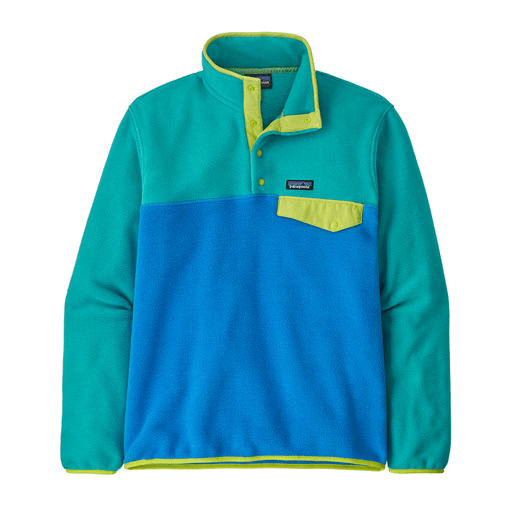 Patagonia snap t pullover mens best sale