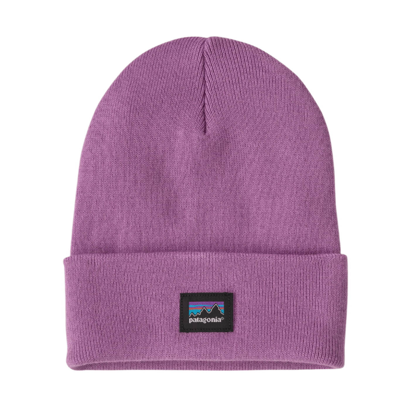 Patagonia Headwear One Size / Brisk Purple Patagonia - Everyday Beanie