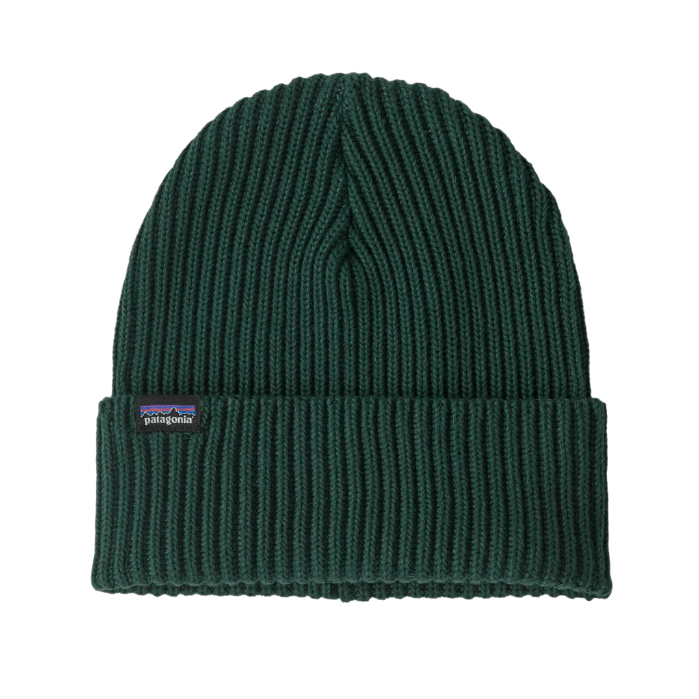 Patagonia Headwear One Size / Cascade Green Patagonia - Fisherman's Rolled Beanie