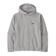 Patagonia Sweatshirts XS / Salt Grey Patagonia - Daily Hooded Sweatshirt