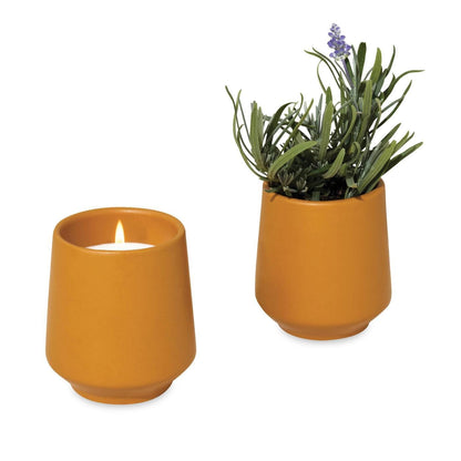 Rewards Outdoor & Leisure One Size / Mustard/Lavender Rewards Item: Modern Sprout - Rooted Candle