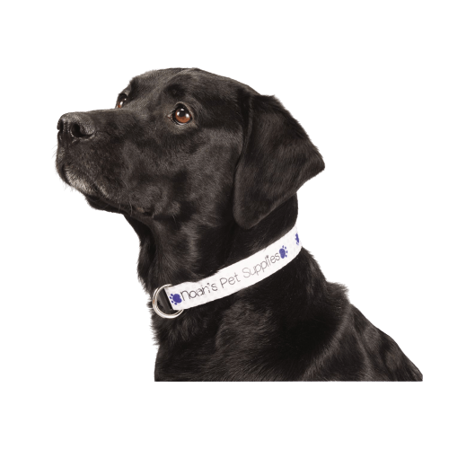 Threadfellows Accessories 1" Wide / Full Color Sublimation Adjustable Pet Collar