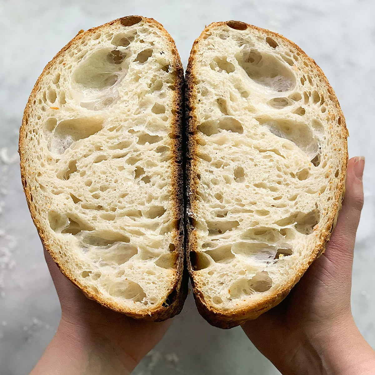 Thread Bread FarmSteady Sourdough Bread Winner Kit – Threadfellows