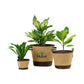 Threadfellows Accessories One Size / Dune Heritage Supply - Plant, Grow and Store Trio of Pots