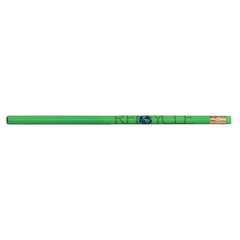 Threadfellows Accessories One Size / Green Newsprencil Recycled Newspaper Pencil